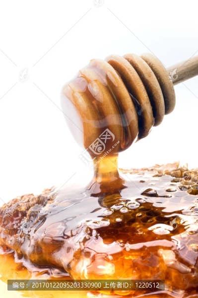 親愛滴頭和成形蜂窩