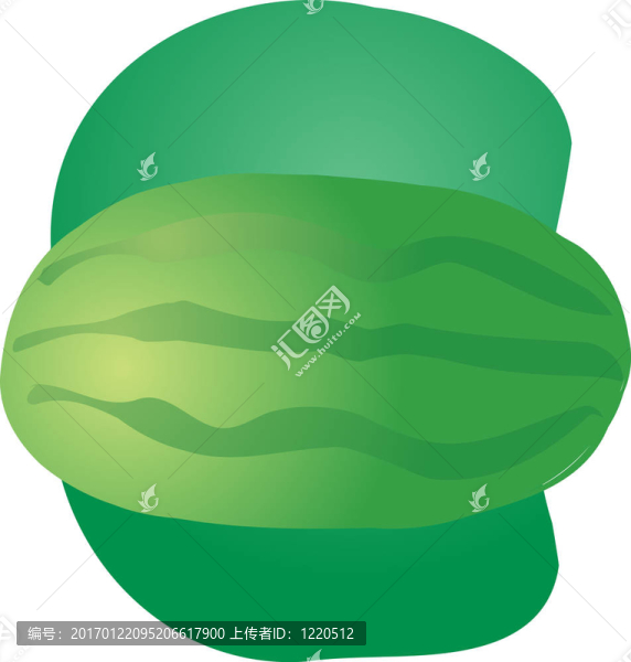 西瓜果實(shí)的插圖
