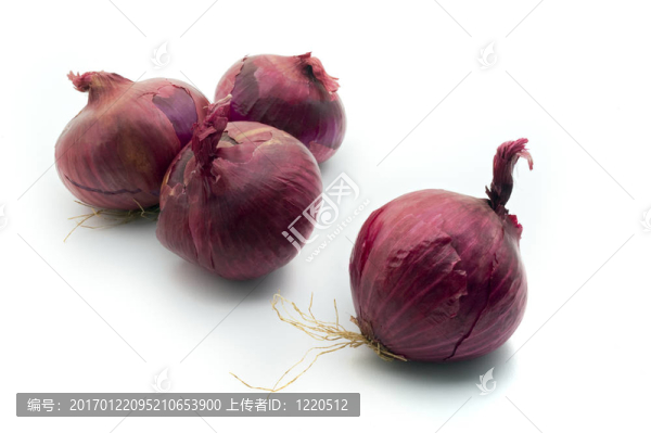 紫紅色的洋蔥