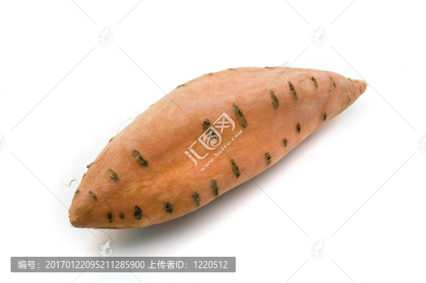 甘薯