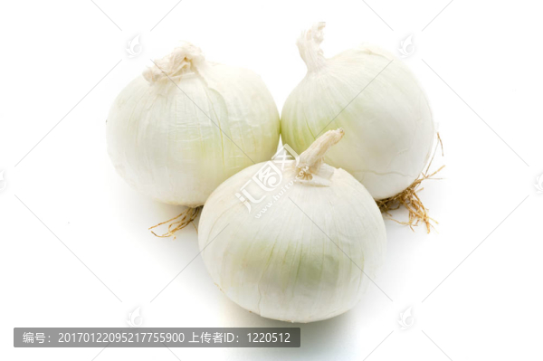 白色的洋蔥