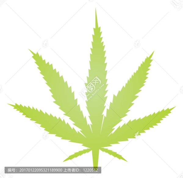 大麻葉插圖