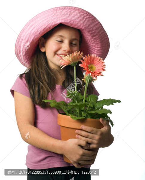 年輕的女孩粉紅色的雛菊