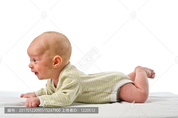 嬰兒的胃