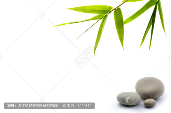 禪宗的背景