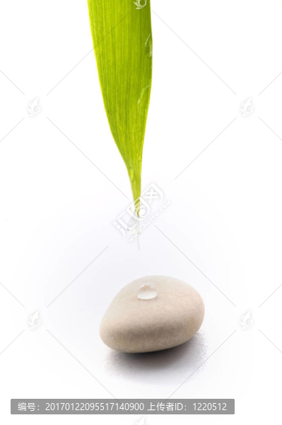 禪宗的背景
