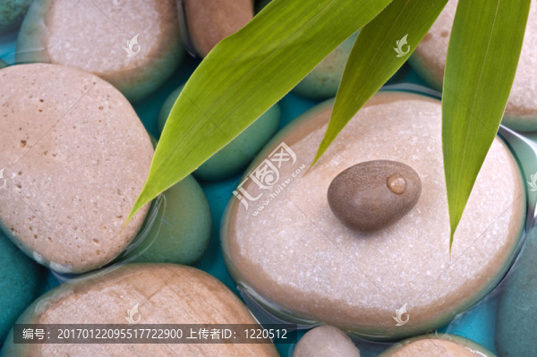 鵝卵石竹水
