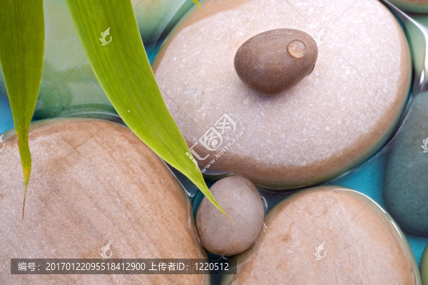 鵝卵石竹水