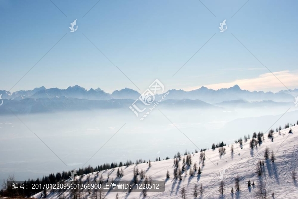 山