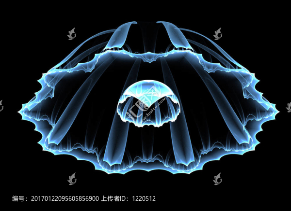 藍(lán)色的水母