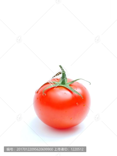 番茄