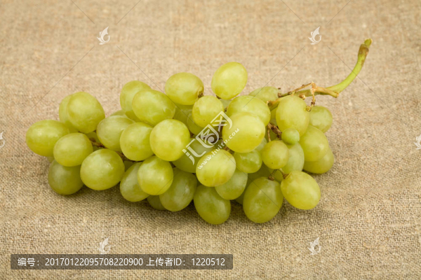 葡萄