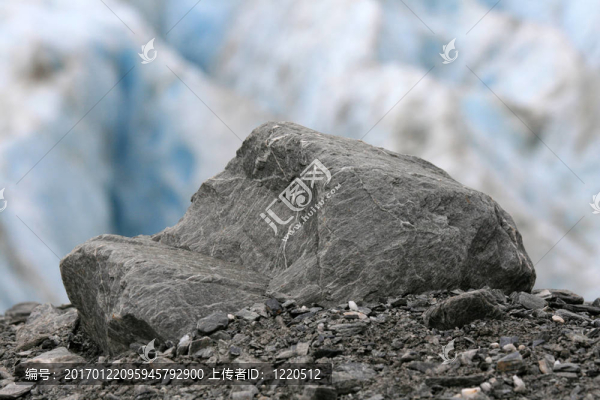 Franz,Josef,Glacier；新西蘭