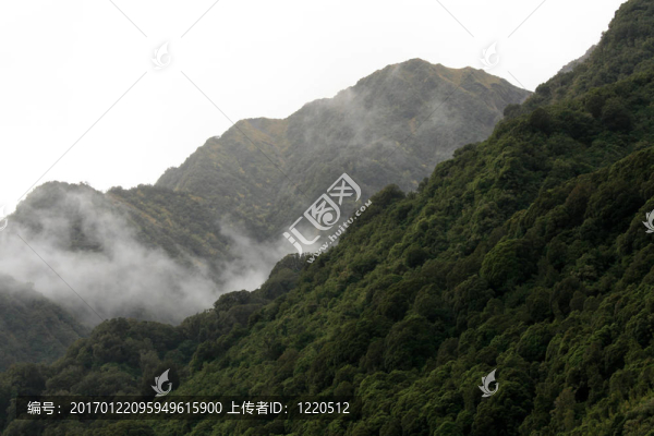 Franz,Josef,Glacier；新西蘭