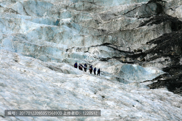 Franz,Josef,Glacier；新西蘭