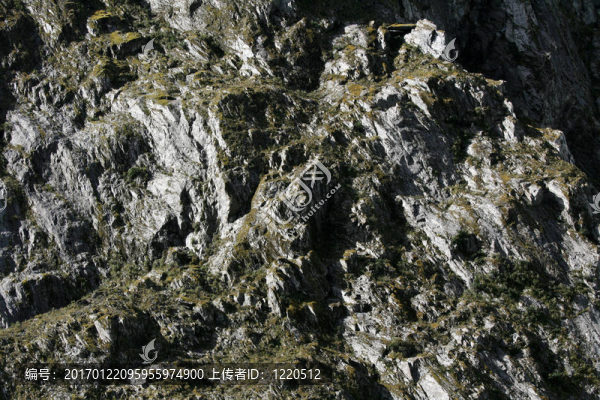 Franz,Josef,Glacier；新西蘭