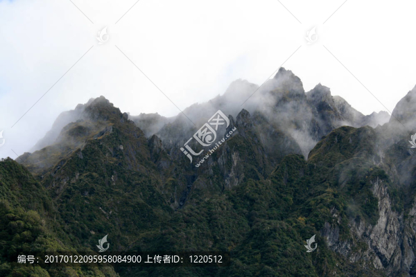 Franz,Josef,Glacier；新西蘭