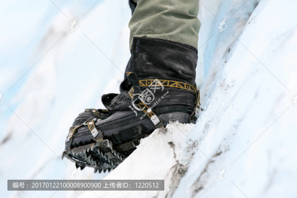 Franz,Josef,Glacier；新西蘭