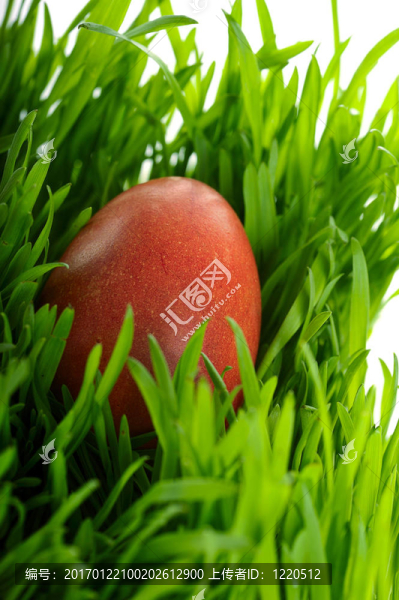 紅色的復(fù)活節(jié)彩蛋