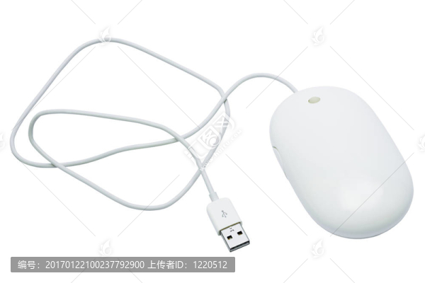 帶輪子的老鼠