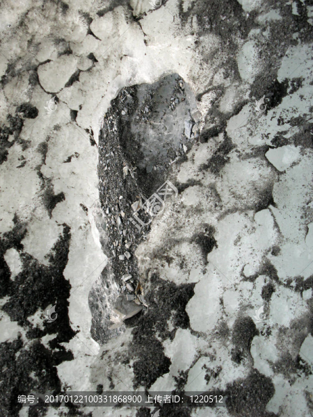 Franz,Josef,Glacier；新西蘭