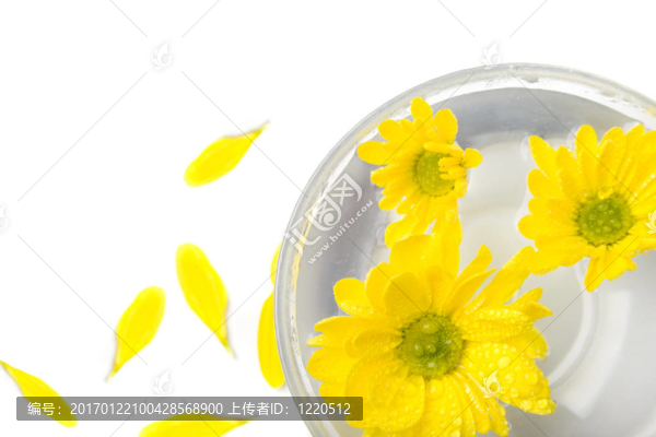 黃色的花