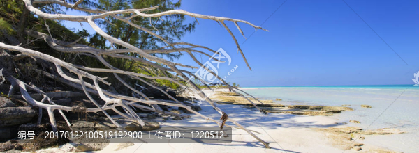 熱帶海灘全景