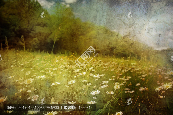 老式的大草原-匯圖網(wǎng) www.fosd68.com 老式的大草原