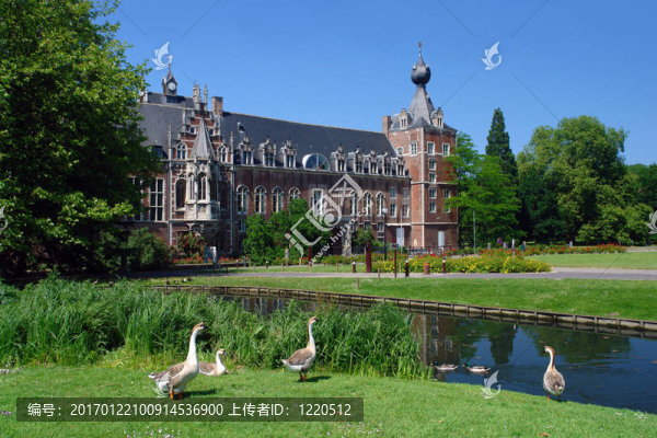 城堡公園里的鵝