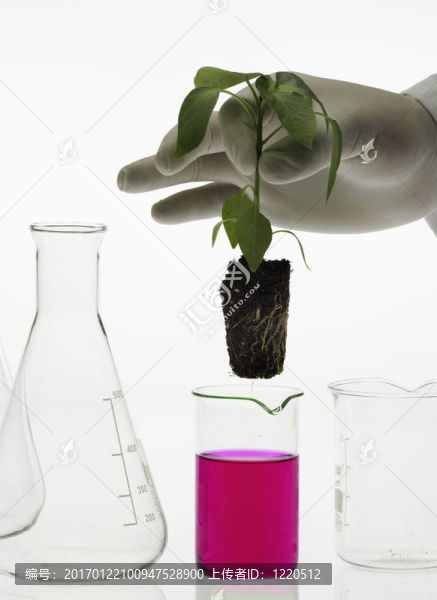 生物技術的概念