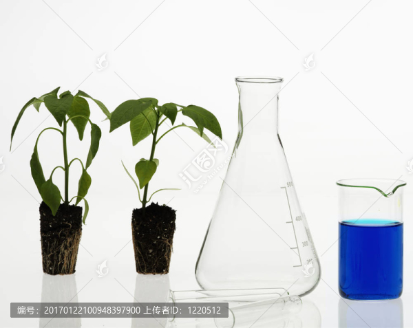 生物技術(shù)的概念
