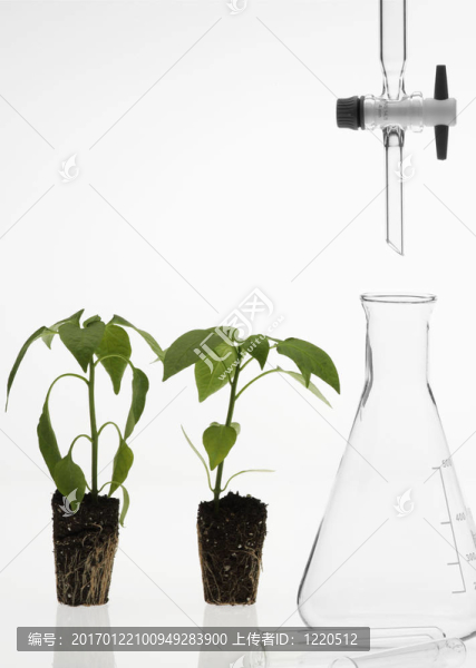 生物技術的概念