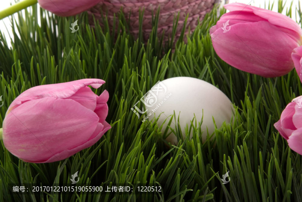 復活節(jié)