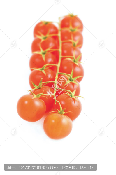 西紅柿