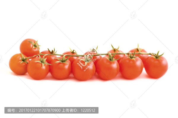 西紅柿