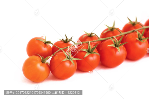 西紅柿