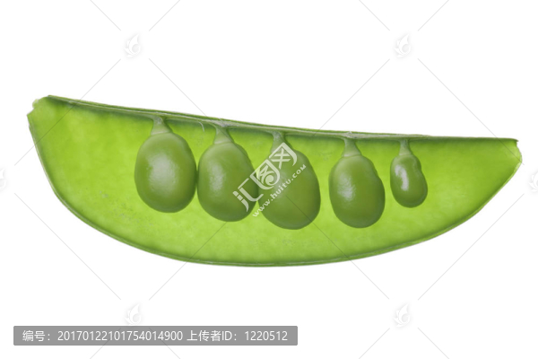 白色背景的豌豆莢