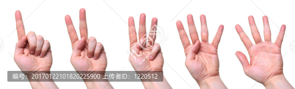 計數(shù)的手