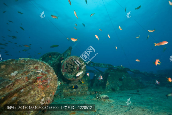 Thistlegorm的anchorwinch