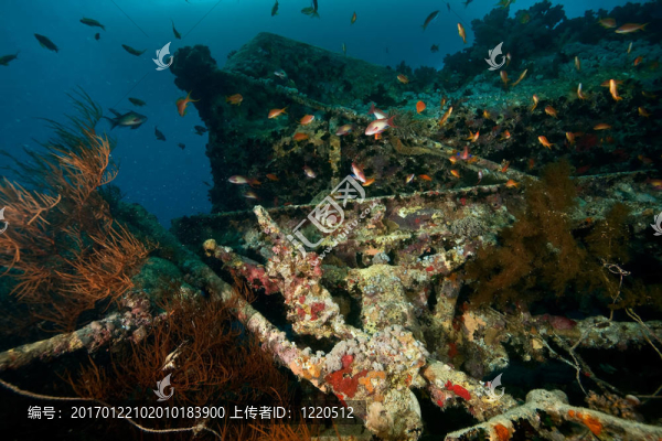 油罐車在thistlegorm