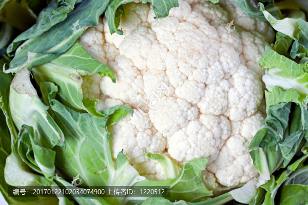 菜花