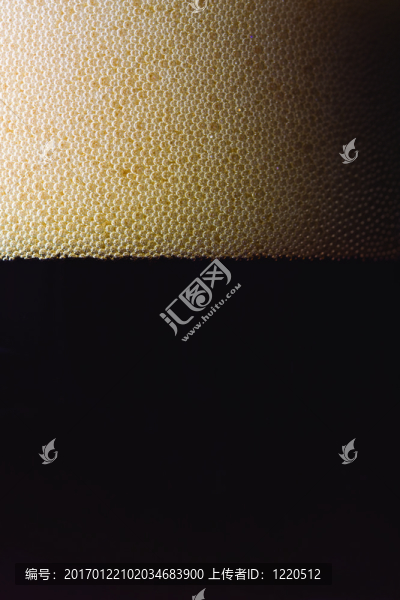 啤酒-匯圖網(wǎng) www.fosd68.com 啤酒