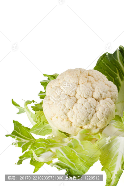 菜花