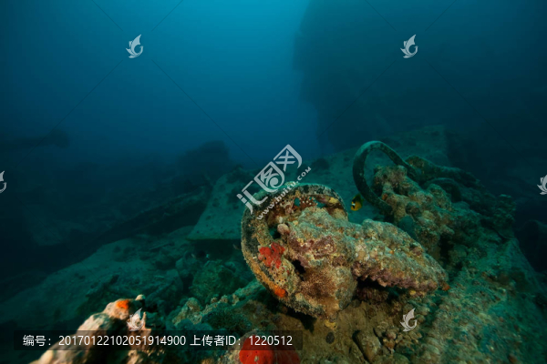 thistlegorm