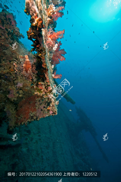 輕高射炮在thistlegorm