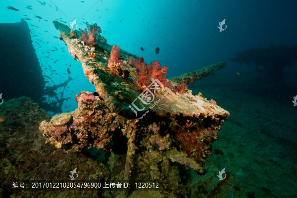 輕高射炮在thistlegorm