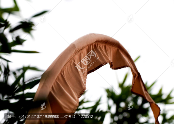 關(guān)于大自然和所有生物的大小