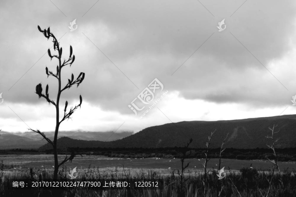 草原和山-湯加里羅國家公園；新西蘭