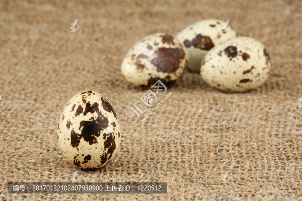 鵪鶉蛋