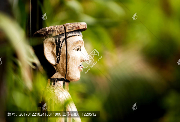 關(guān)于大自然和所有生物的大小